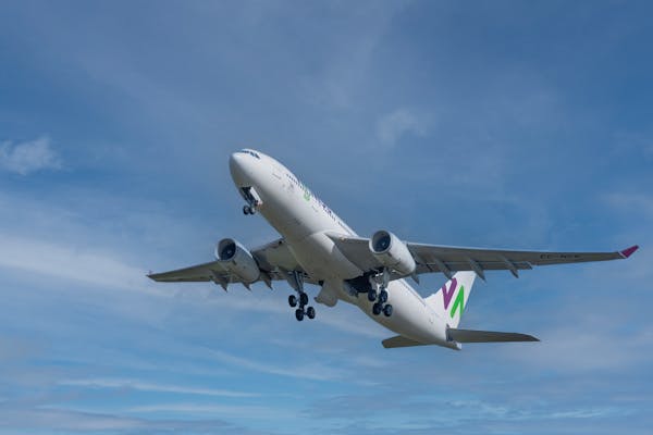 Main Airports in New Zealand You Need to Know