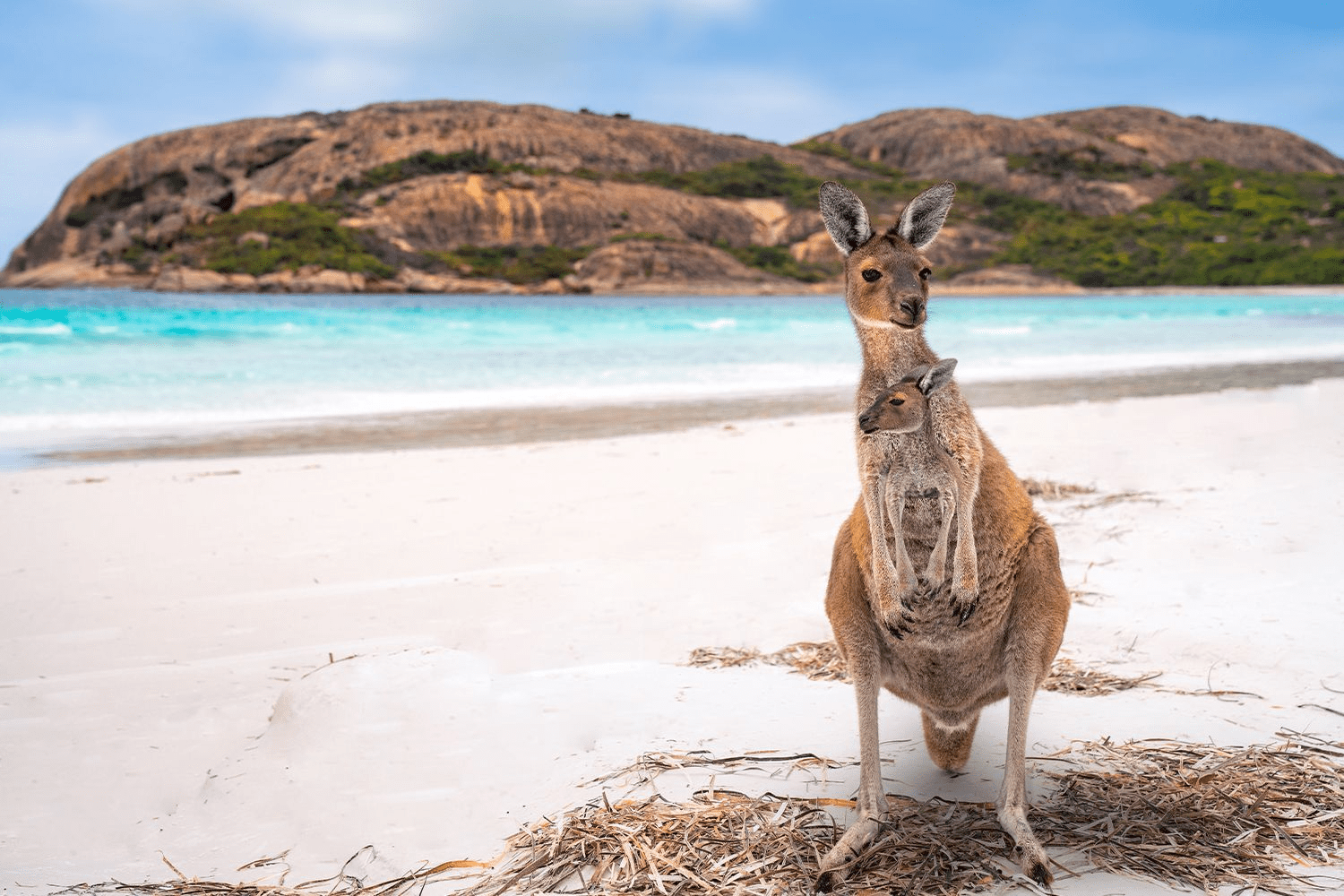 Beaches in Australia, with turquoise water and rocky hills behind.