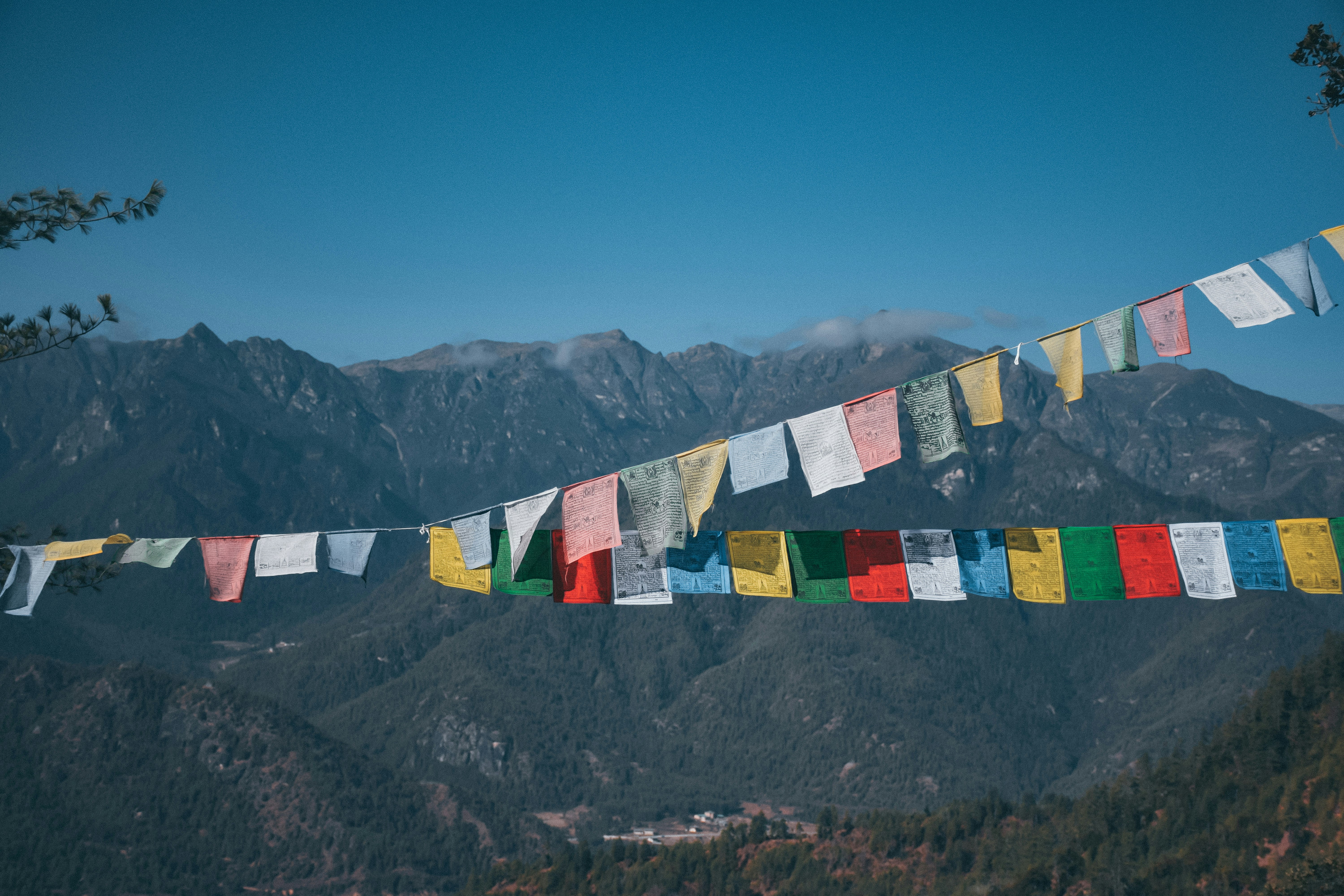 Everything You Need to Know About Bhutan in August