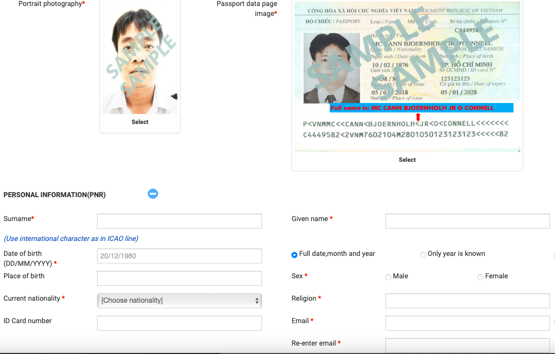 E-Visa Application Process 