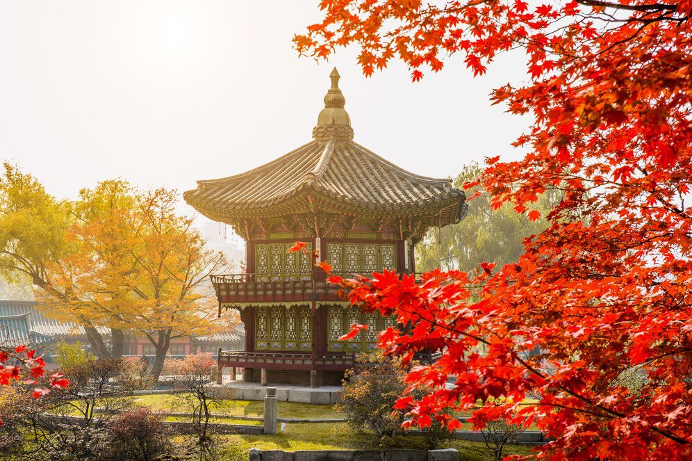 Gyeongbokgung Palace in Seoul surrounded by vibrant summer greenery