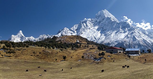 Historical Places in Nepal: Top Landmarks to Explore