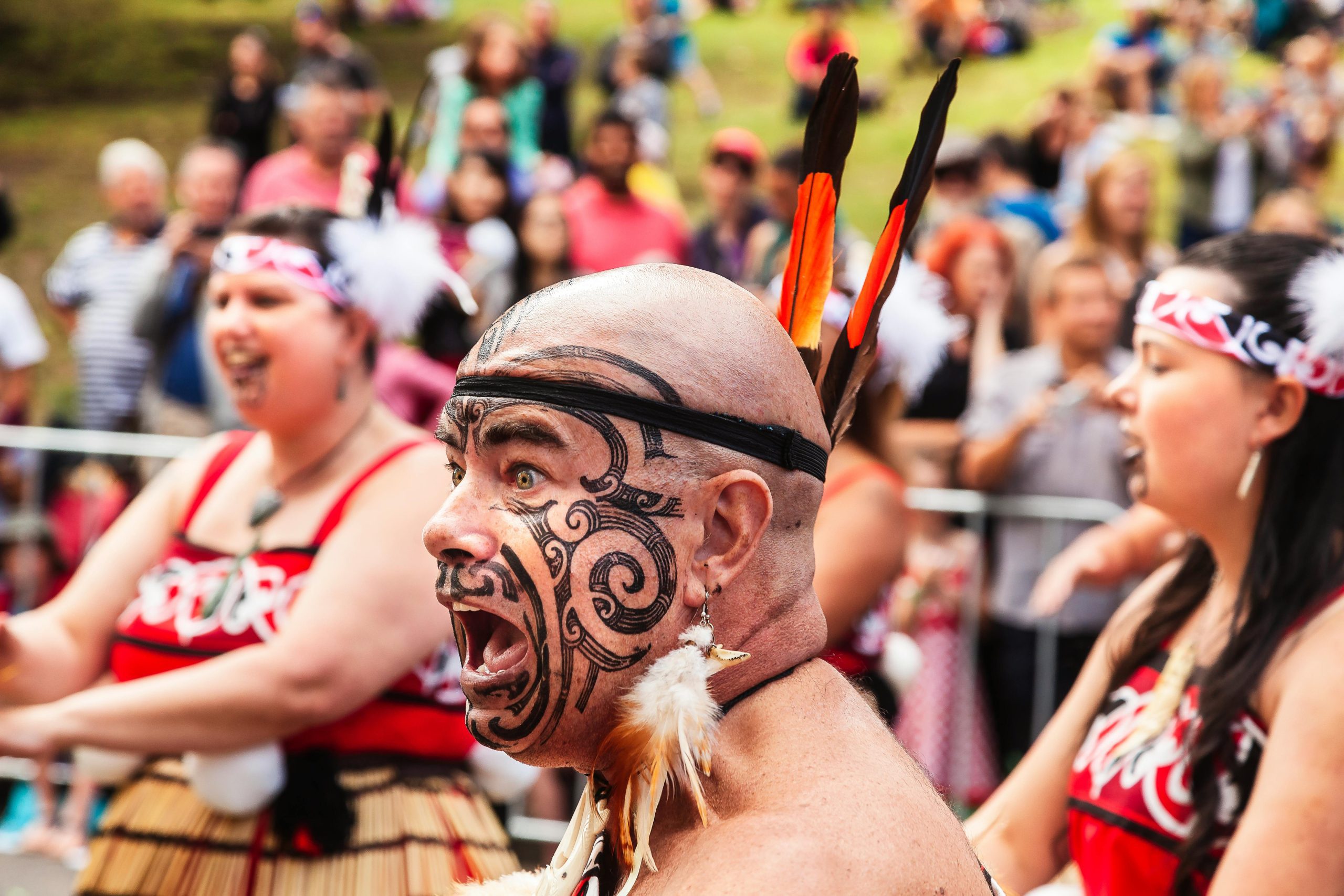 A traditional Māori cultural setting in New Zealand 