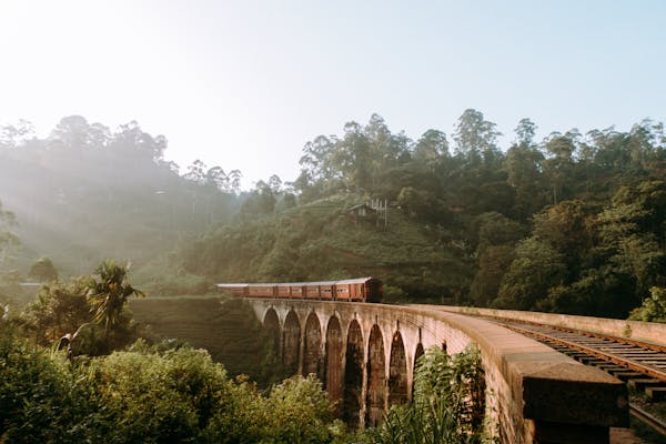 Train tracks on a stone viaduct bridge crossing through misty forested mountains.