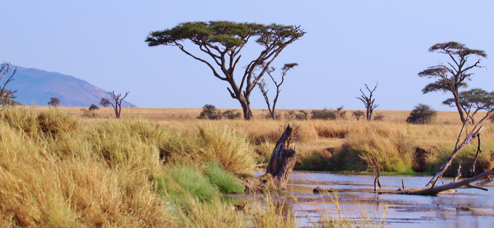 Tanzania in February