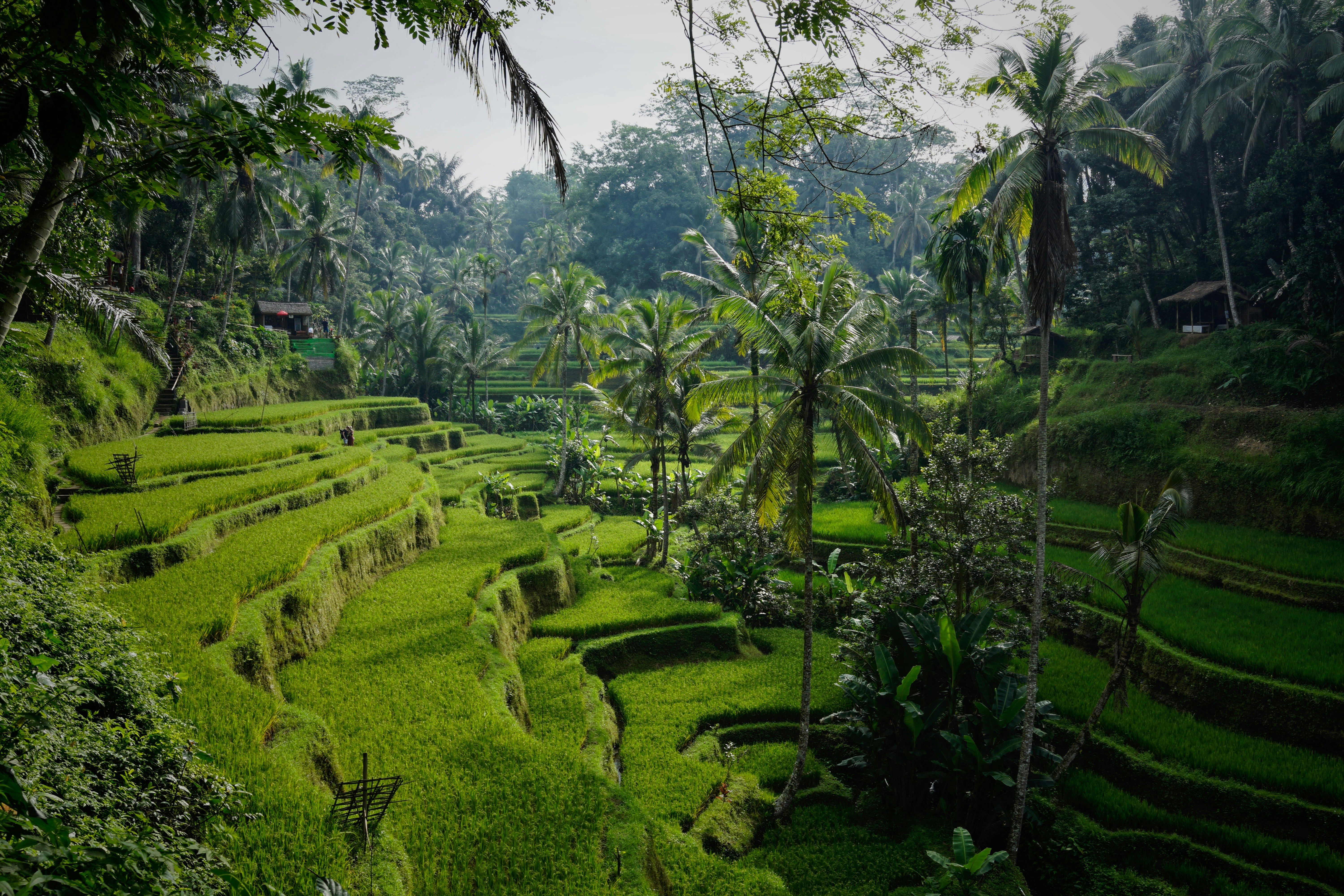Bali in October: Weather, Things to Do, Places to Visit & More