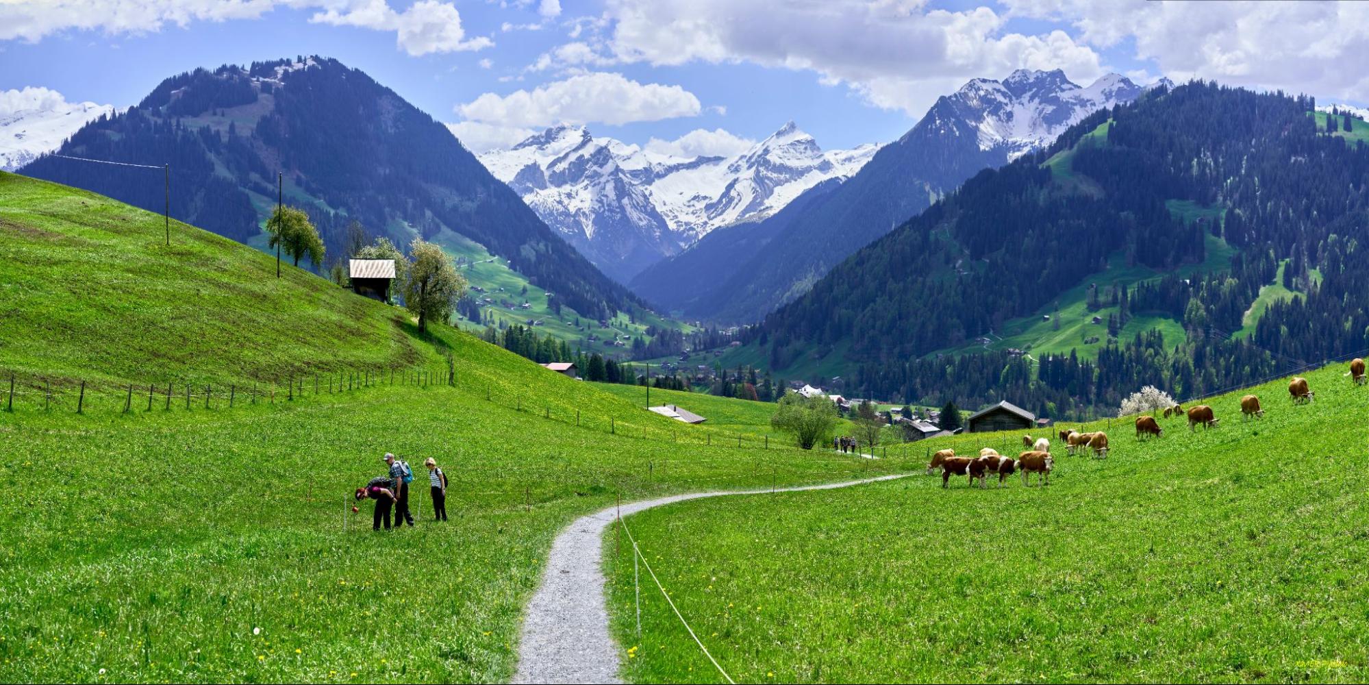 Things to do in Gstaad
