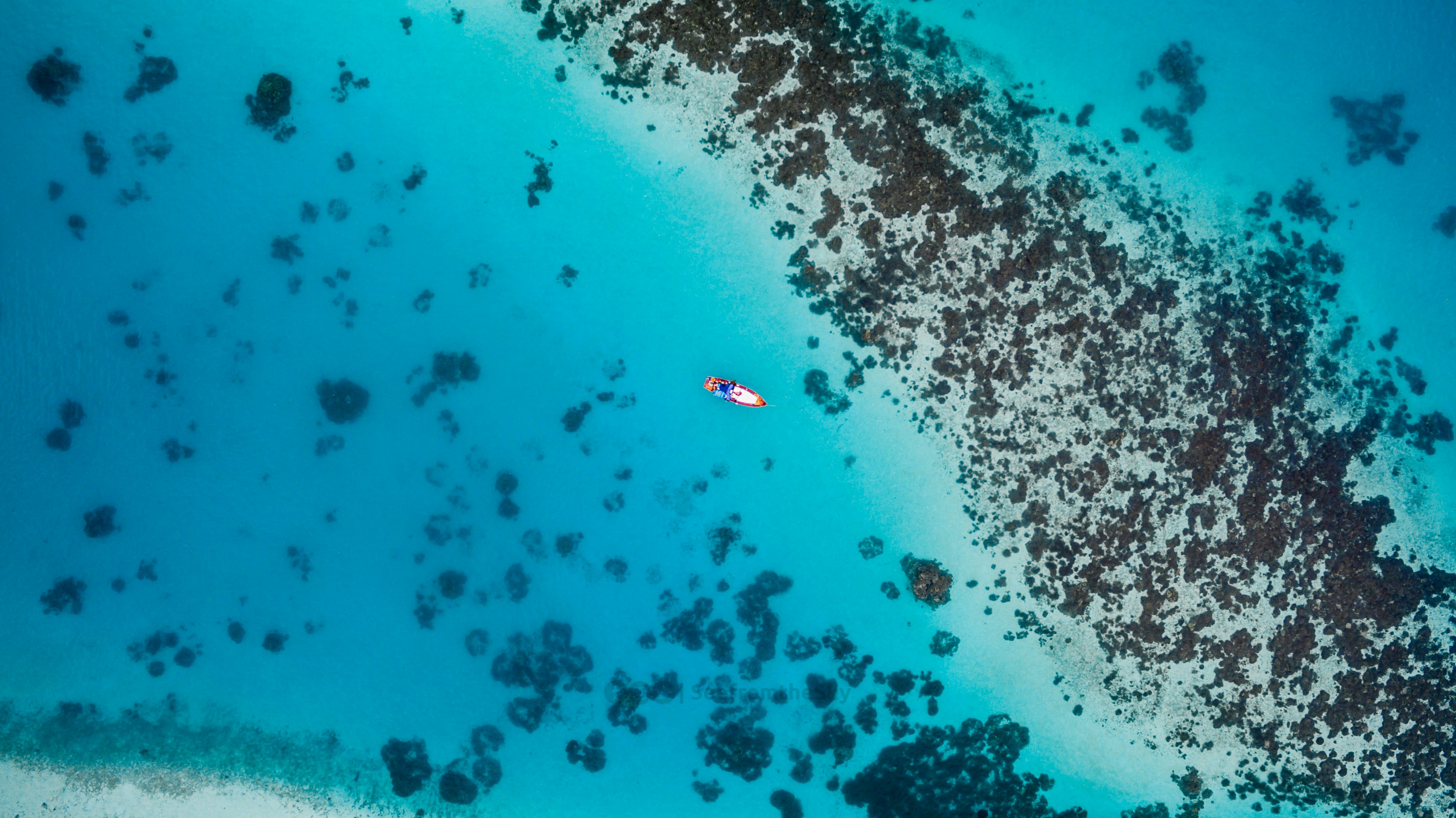 Tourists exploring Maldives in August on a boat