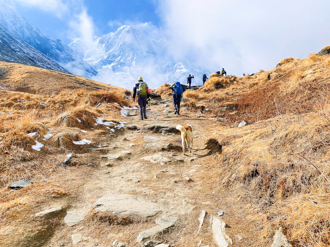 Trekkers on a lush trail in the Annapurna foothills