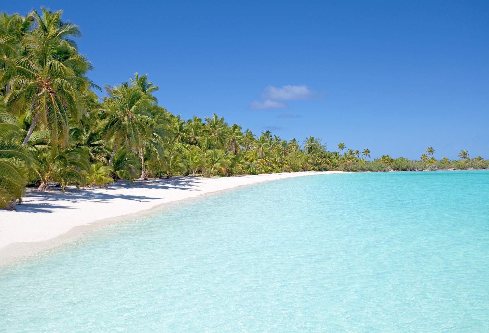 Tropical beach in the Philippines with palm trees