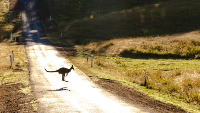 Australia Visa Photo Requirements for Indians