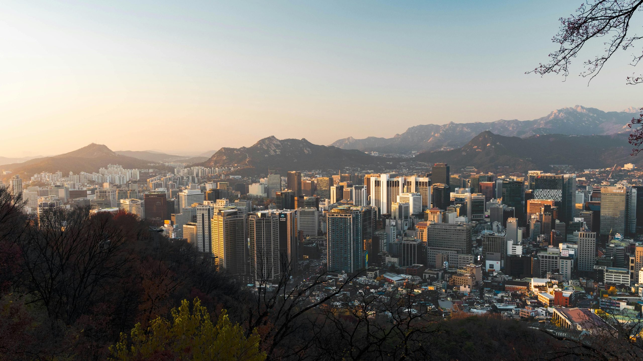 Winter in South Korea 2026: Top Destinations & Activities