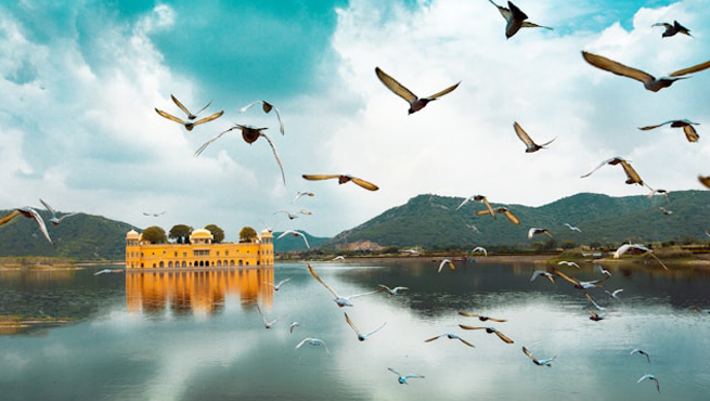 India Evisa for Albania