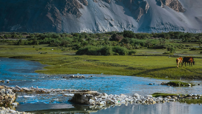 India Evisa For Estonia