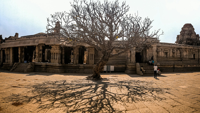 India Evisa For Senegal