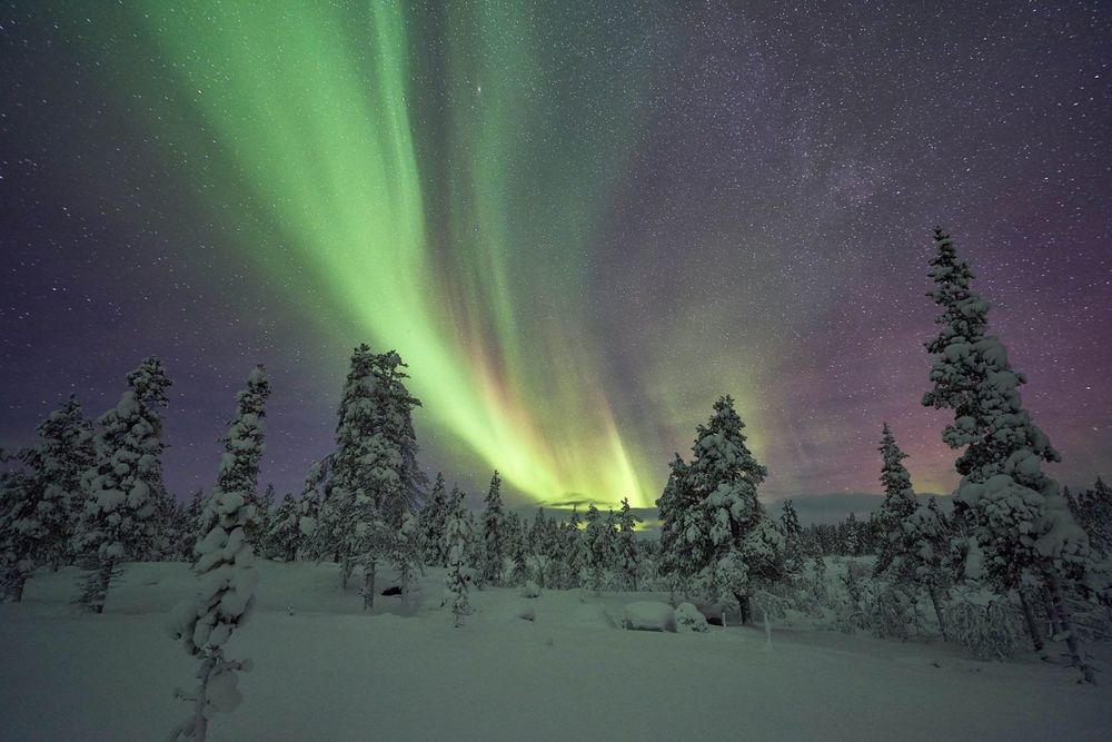 northern-lights-in-swedish-lapland